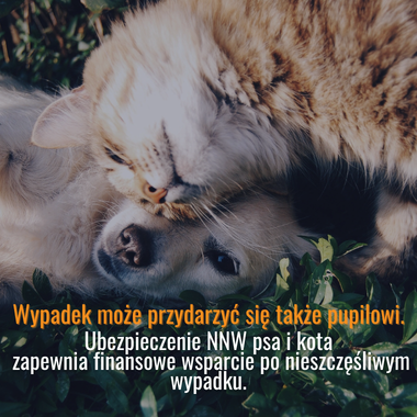 Ubezpieczenie NNW psa i kota